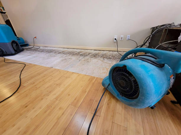Reliable Basement Flood Cleanup contractor in Alma, MI by Hirex Water Damage