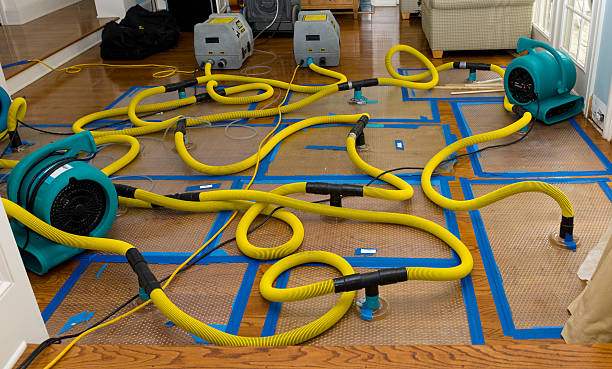 Professional Basement Flood Cleanup technician working in Alma, MI
