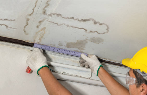 Affordable Water Damage Repair solutions in Alma, MI